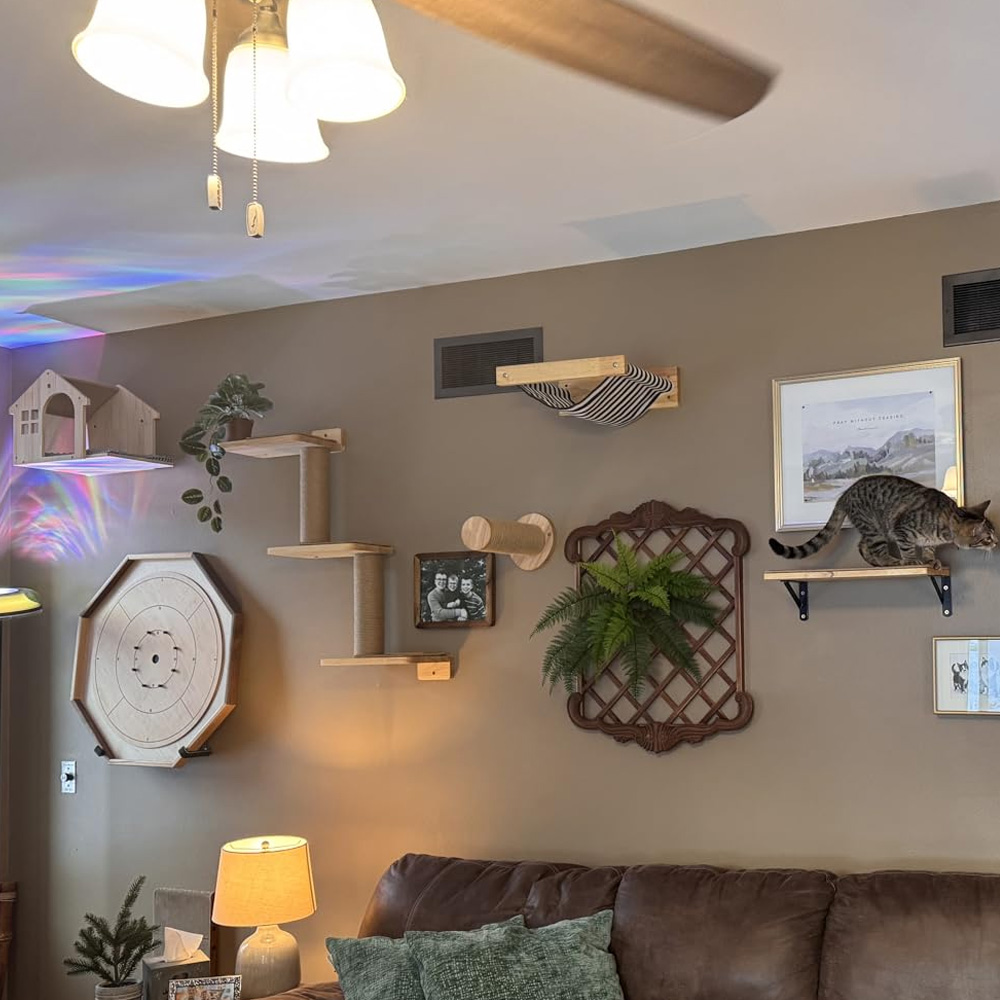 Cat Furniture Solid Wooden Sus - Furniture Paradise & Hardware Ghaziabad By Owner 评论和价格