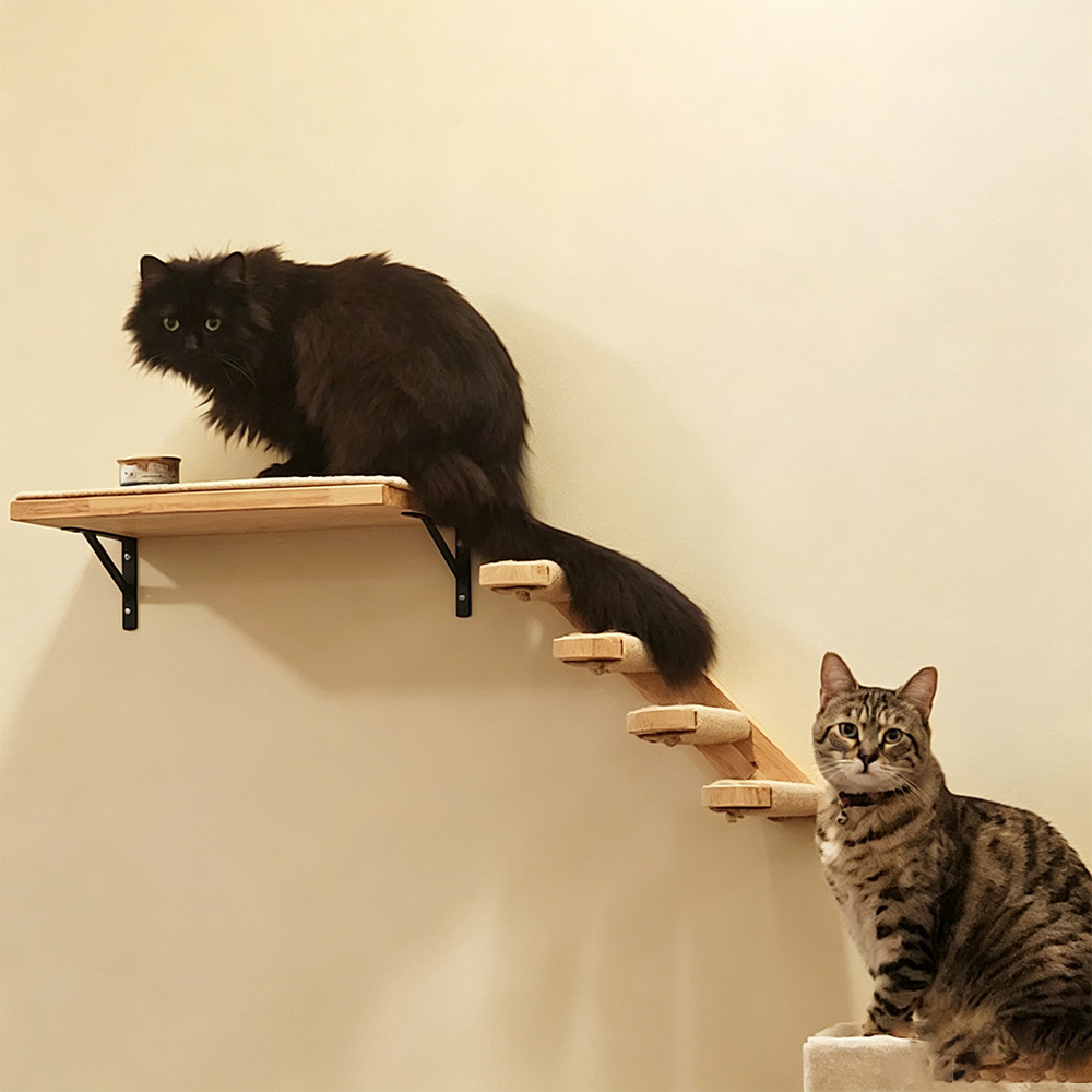 Cat Furniture Solid Wooden Sus - Furniture Paradise & Hardware Ghaziabad By Owner 评论和价格